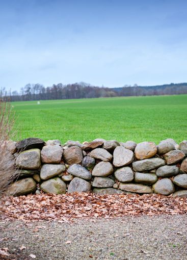Background, countryside and rock wall on farm in morning...