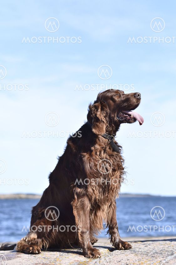 Enjoying the springsun