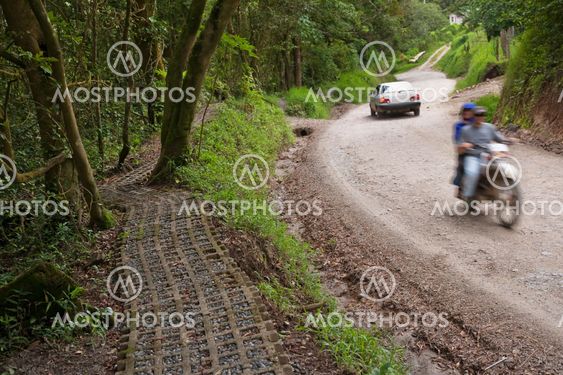 Path and road near Monteverde Costa Rica