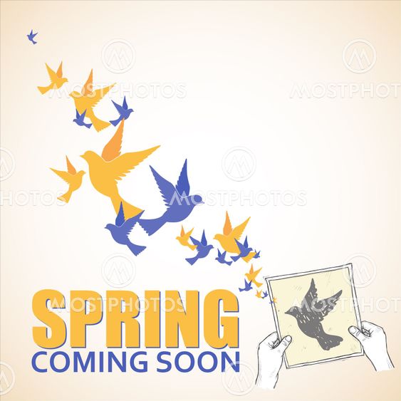 Sheet of paper in hands and birds. Abstract vector illustration
