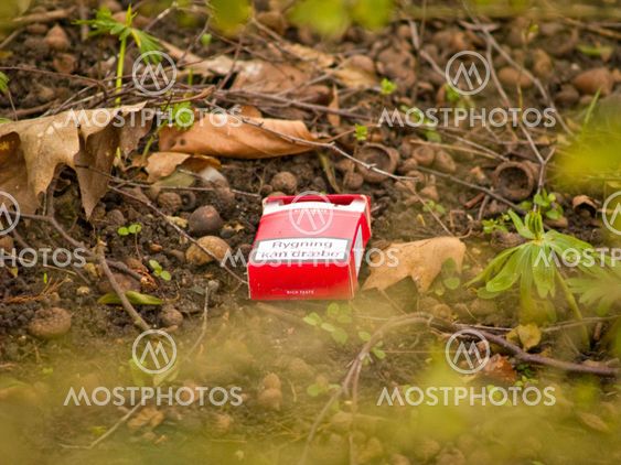 Environmental awarness - Empty cigarette pack in bushes