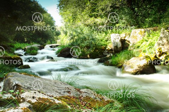 Umia River, Caldas de Reis, Spain