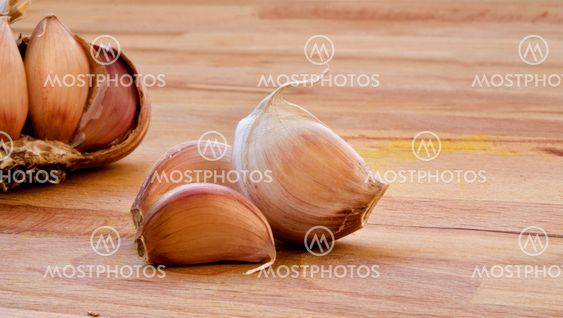 Garlic