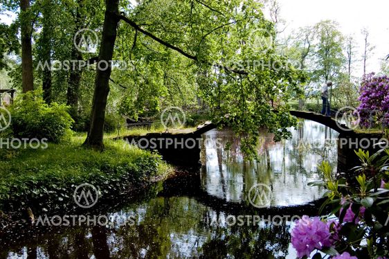 Rhododendronholmen