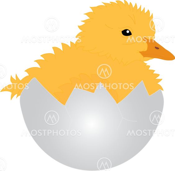 Gosling