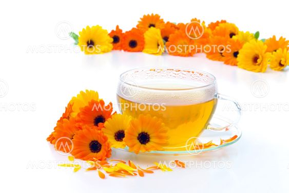 Tee Ringelblume - tea marigold 03