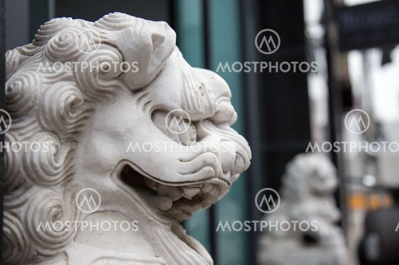 Fierce dragon lion