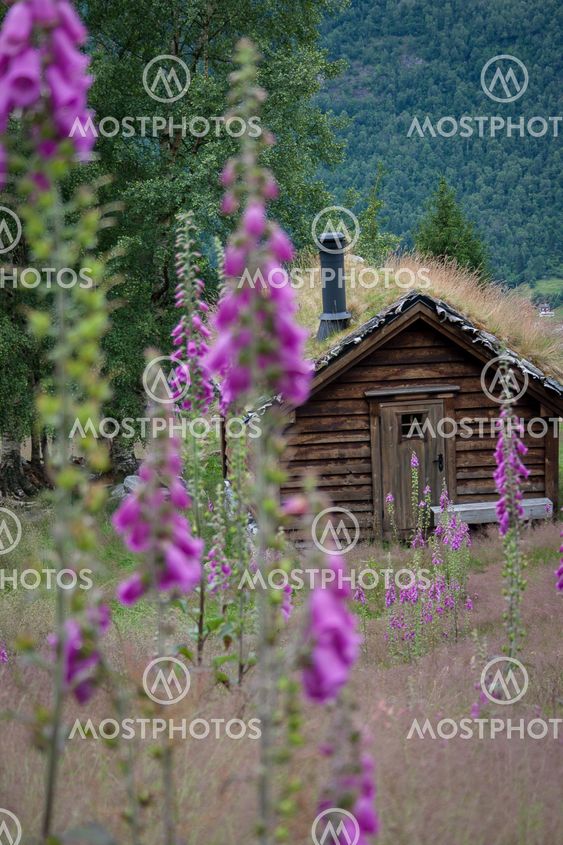 Summer retreat