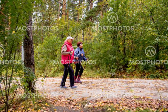 Senior ladies nordic walking
