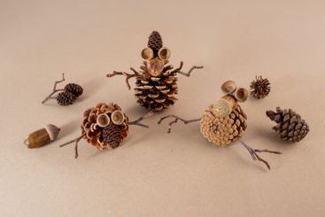 Anthropomorphic pine cones with twig limbs, acorns on an...