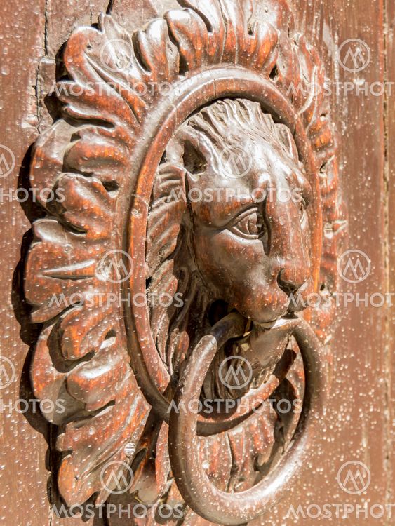 knocker in wood and bronze