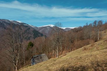 Early spring Carpathian mountains