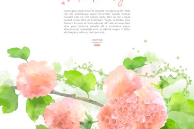 Vector Watercolor Flowers Hydrangea