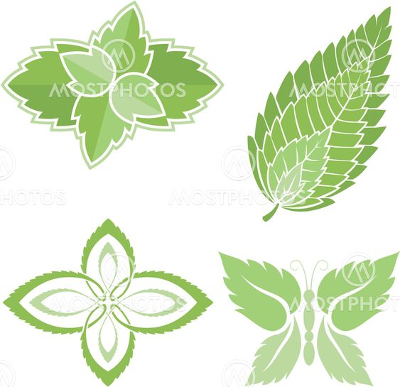 Mint leaves icons