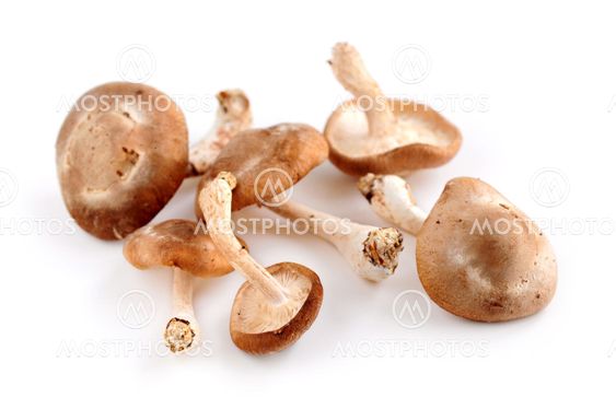 Shiitake mushrooms