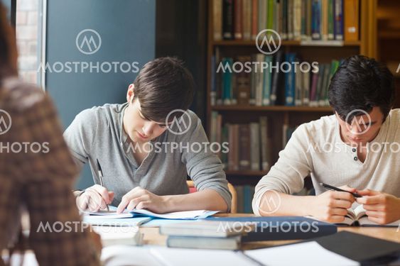 Members of a study group working