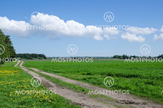 Farmers road at field