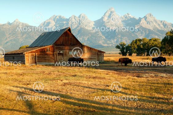 Barn And Grand Teton National Park