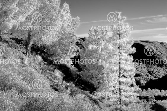 San Gabriel Mountains in Infrared Black and White