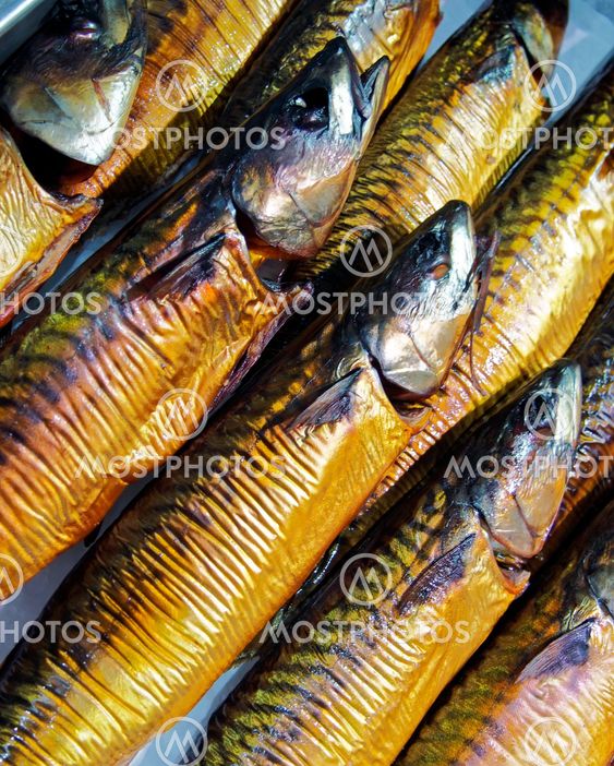 smoked mackerel