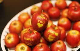 Apples set with I LOVE YOU text.