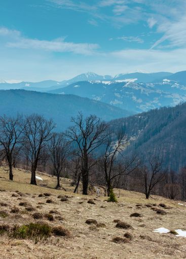 Early spring Carpathian mountains