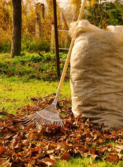 Laub harken - leaves rake 12