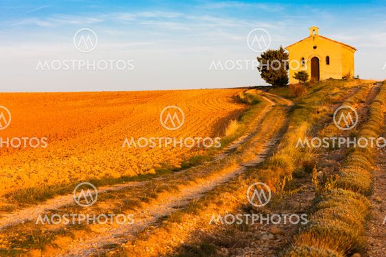 chapel with lavender field, Plateau de Valensole, Provence, Fran