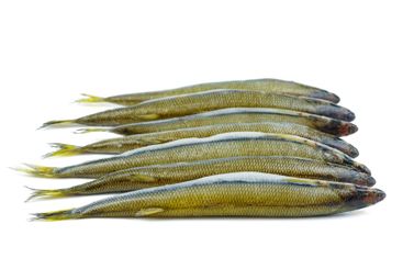 Few fresh raw european smelt fishes isolated on white...