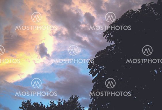Golden clouds