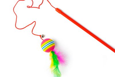 Cat toys isolated on white background studio shot