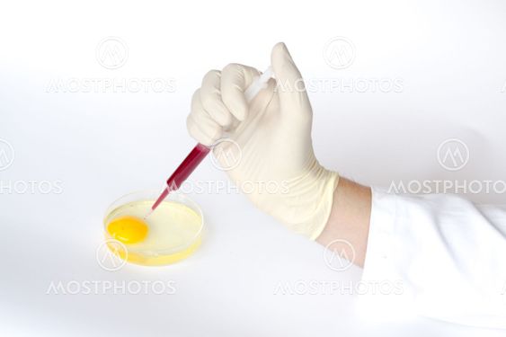 Egg injection