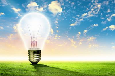 Light bulb and nature