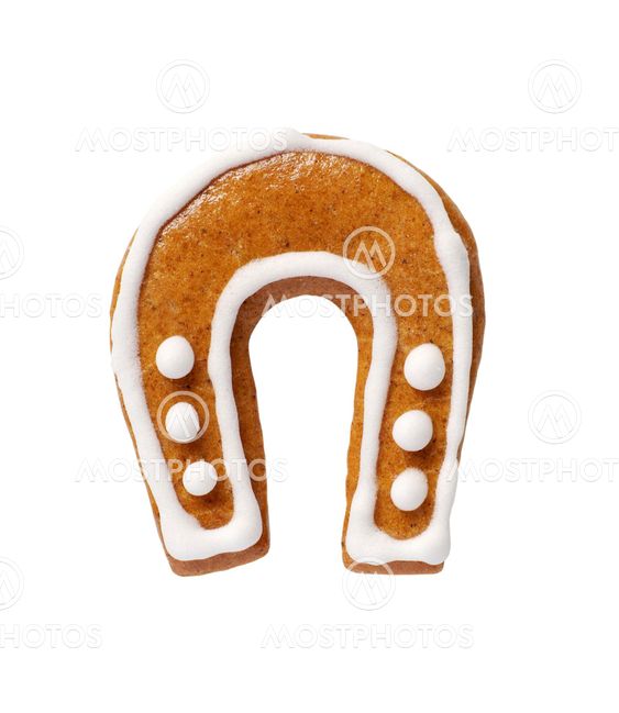 Gingerbread cookie