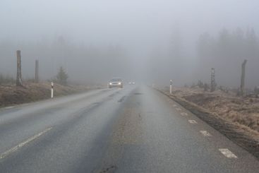 Morgondis vid väg genom skog i Närke