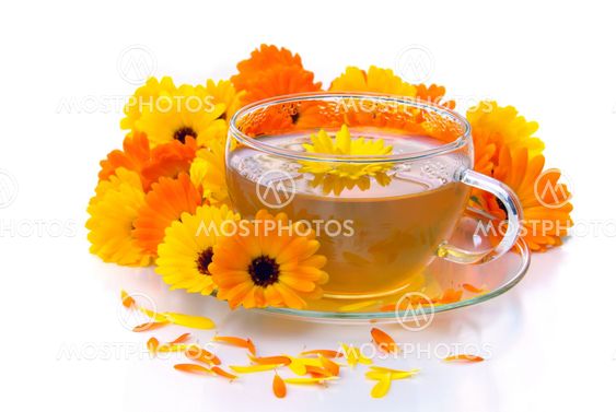Tee Ringelblume - tea marigold 10