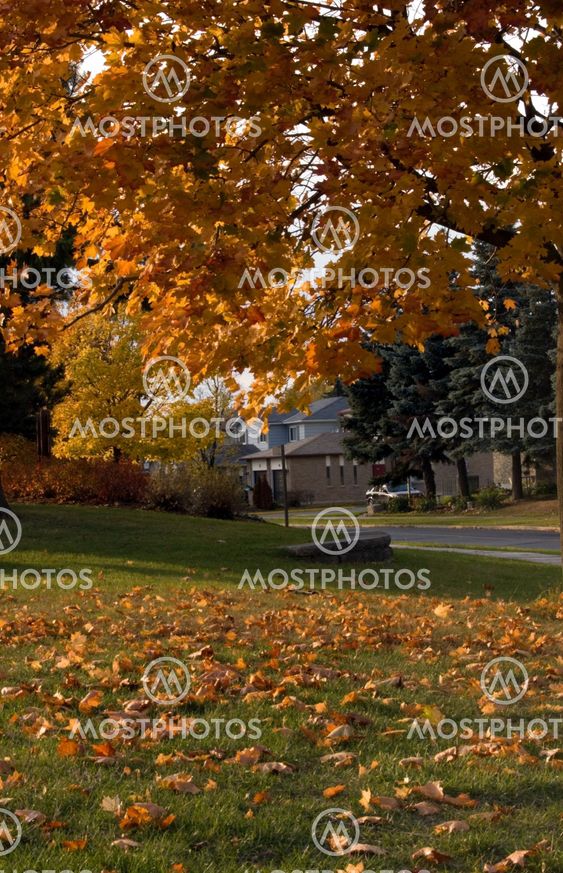 City landscape