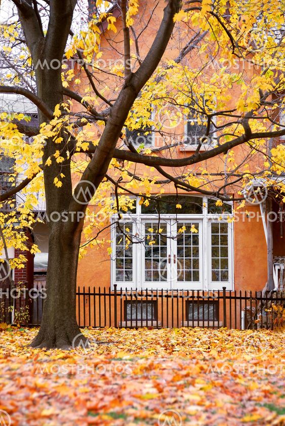 House autumn