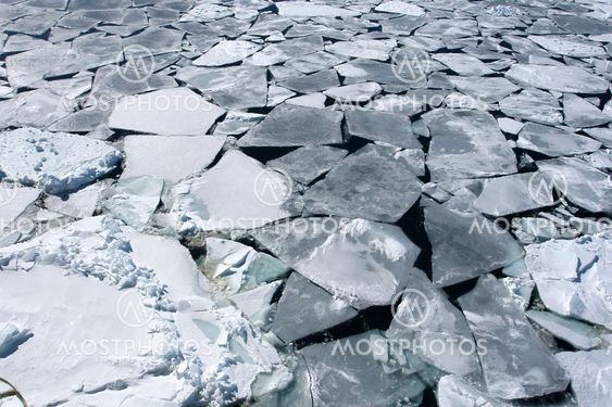 Sea ice