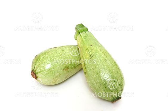 SUMMER SQUASH