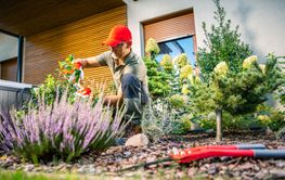 Gardener Tending to Flowers and Shrubs in a Residential...