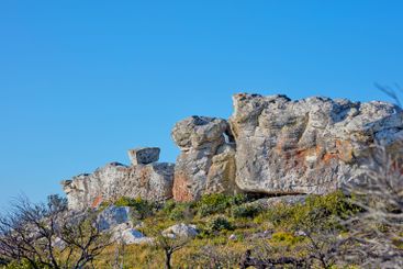 Wilderness, blue sky and bush with rocks in nature for...