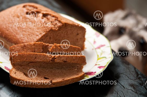 Simple chocolate cake and a hungry dog waiting for his portion