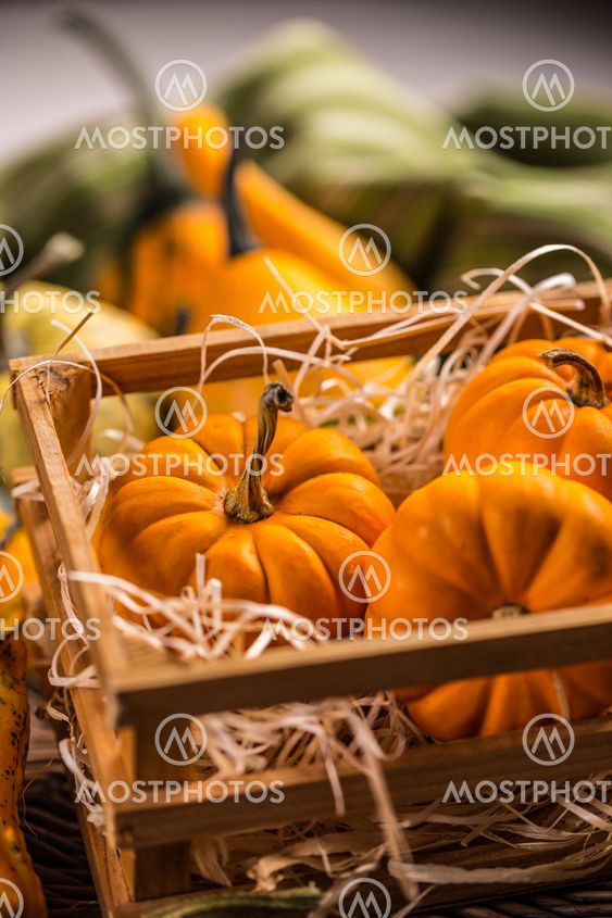 Ornamental pumpkins