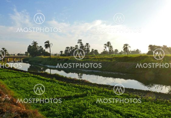 Irrigation canal near Luxor.