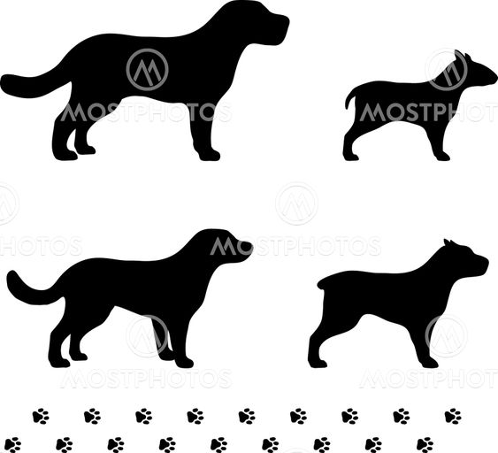 four dog breeds with paw tracks
