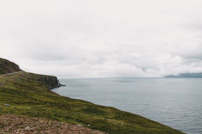 beautiful icelandic seacoast with green vegetation and road