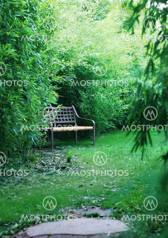 Bench in a japanese garden
