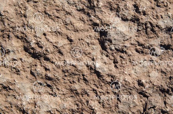 Background of red limestone texture