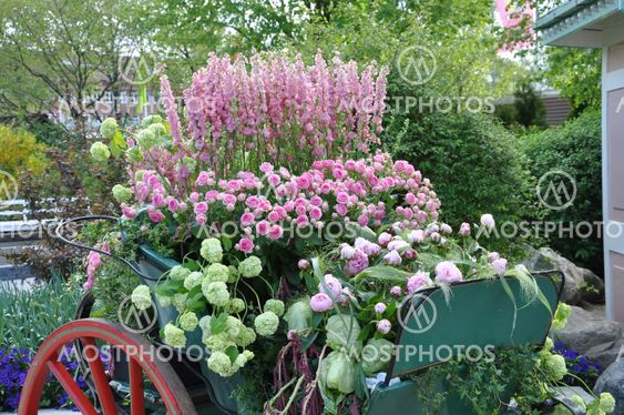 Flowers in a vagon